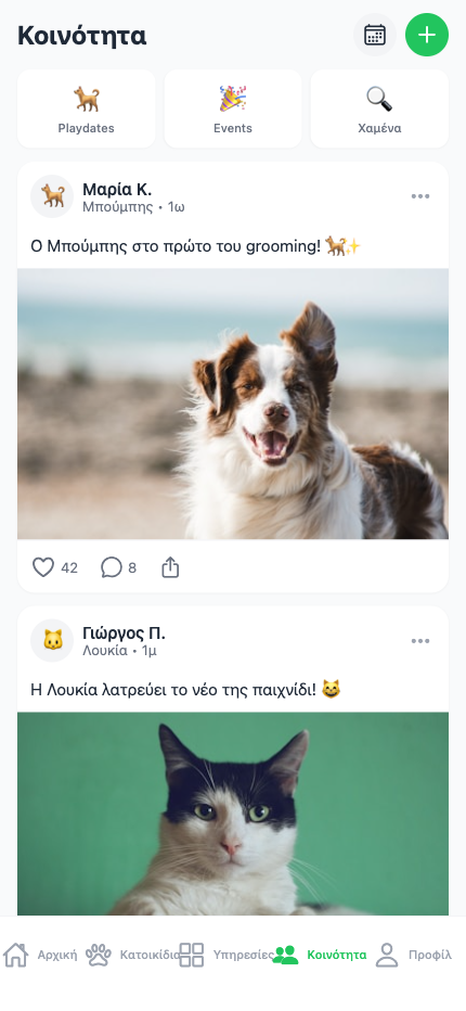 Social Feed